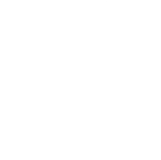 Universitat Rovira i Virgili